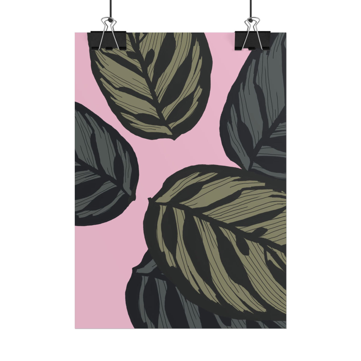 CALATHEA PRINT