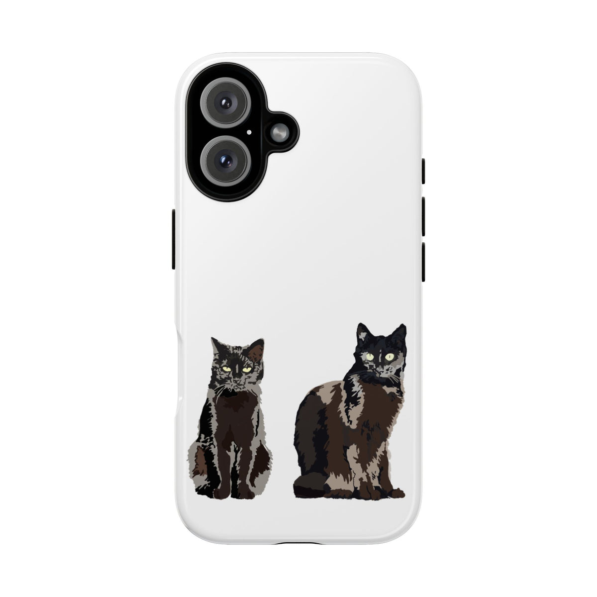 BLACK CATS