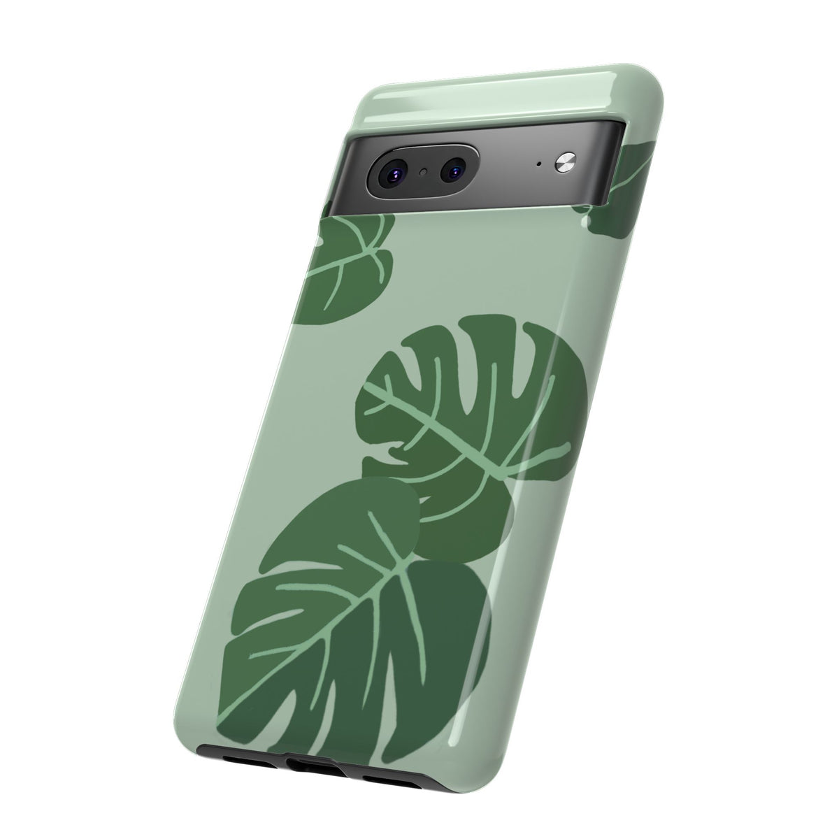 MONSTERA