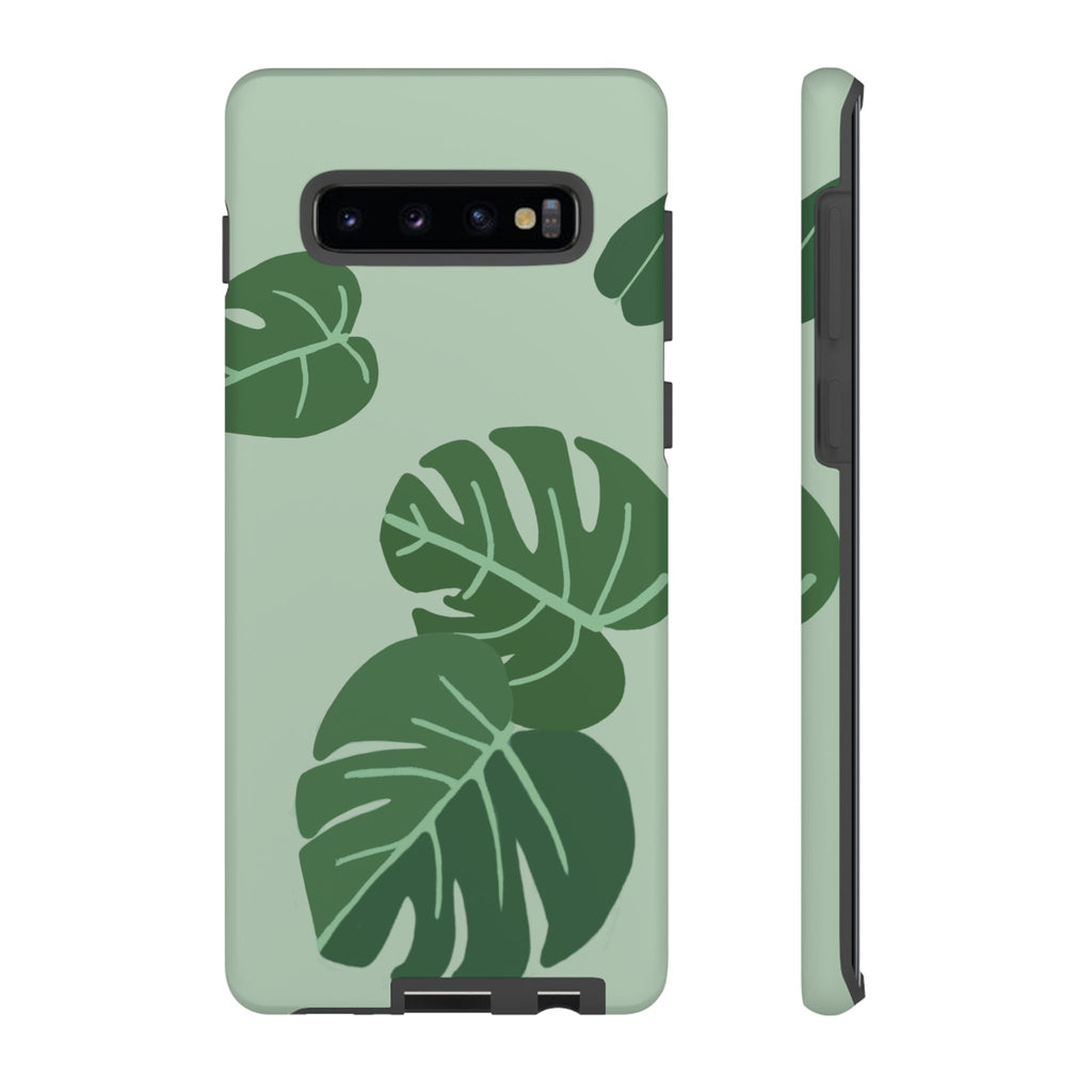 MONSTERA