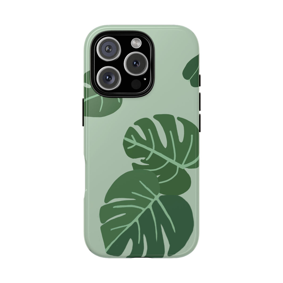 MONSTERA