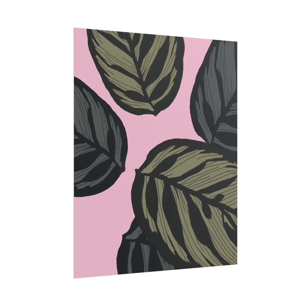 CALATHEA PRINT