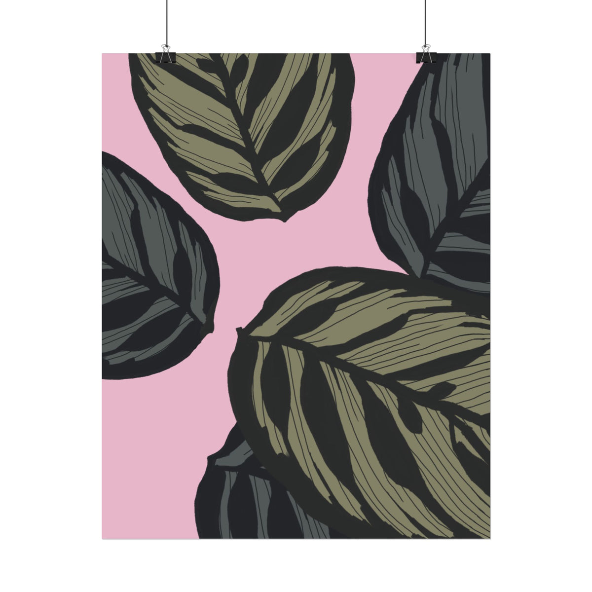 CALATHEA PRINT