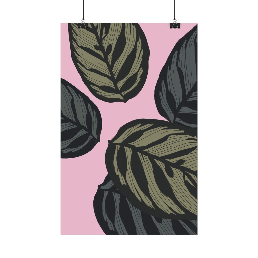 CALATHEA PRINT