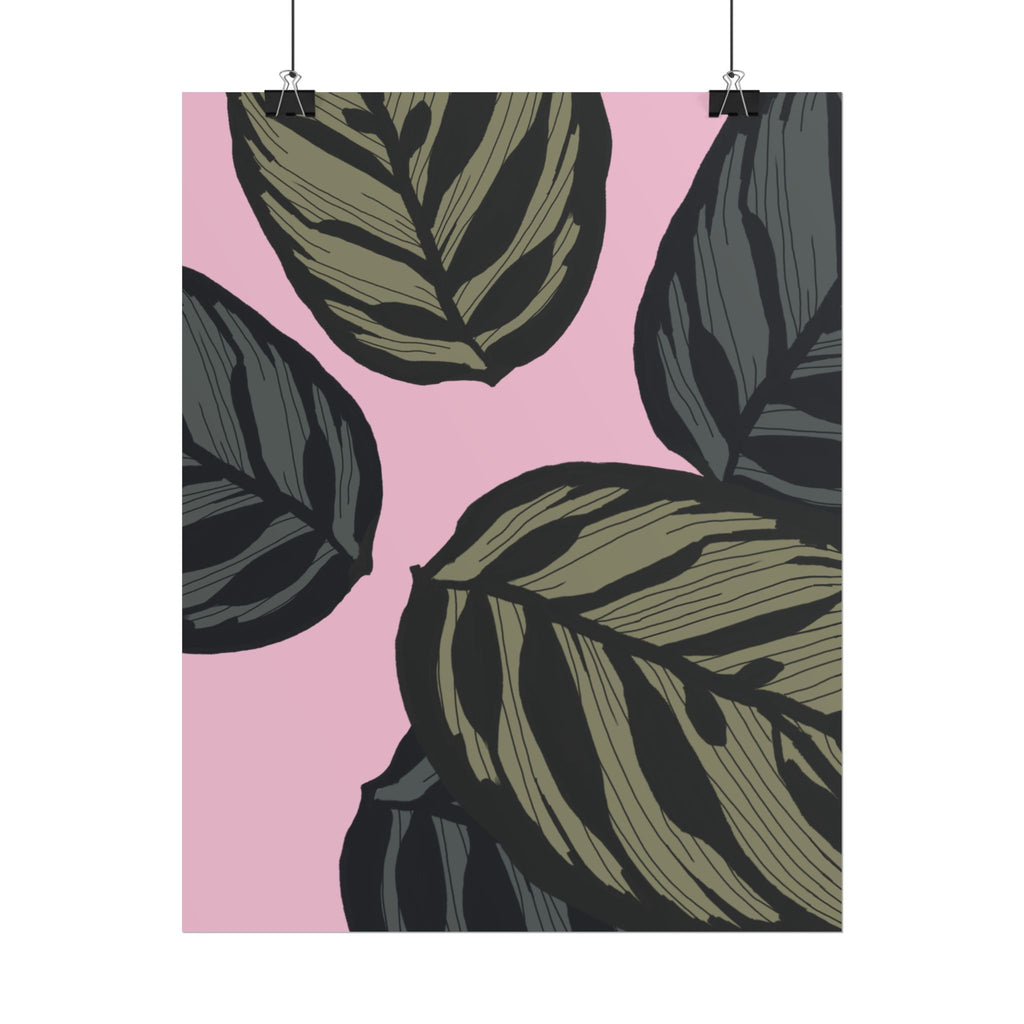CALATHEA PRINT