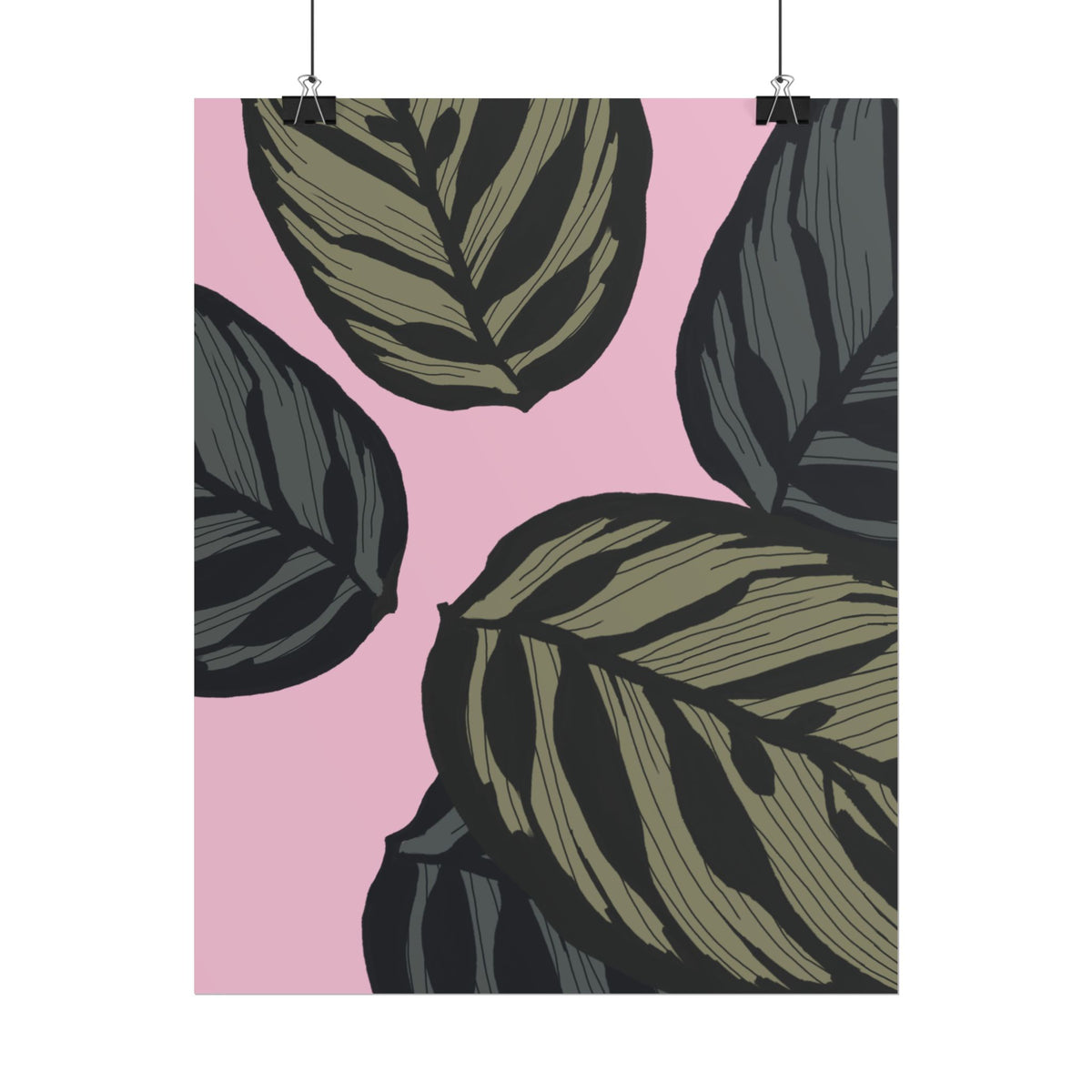 CALATHEA PRINT