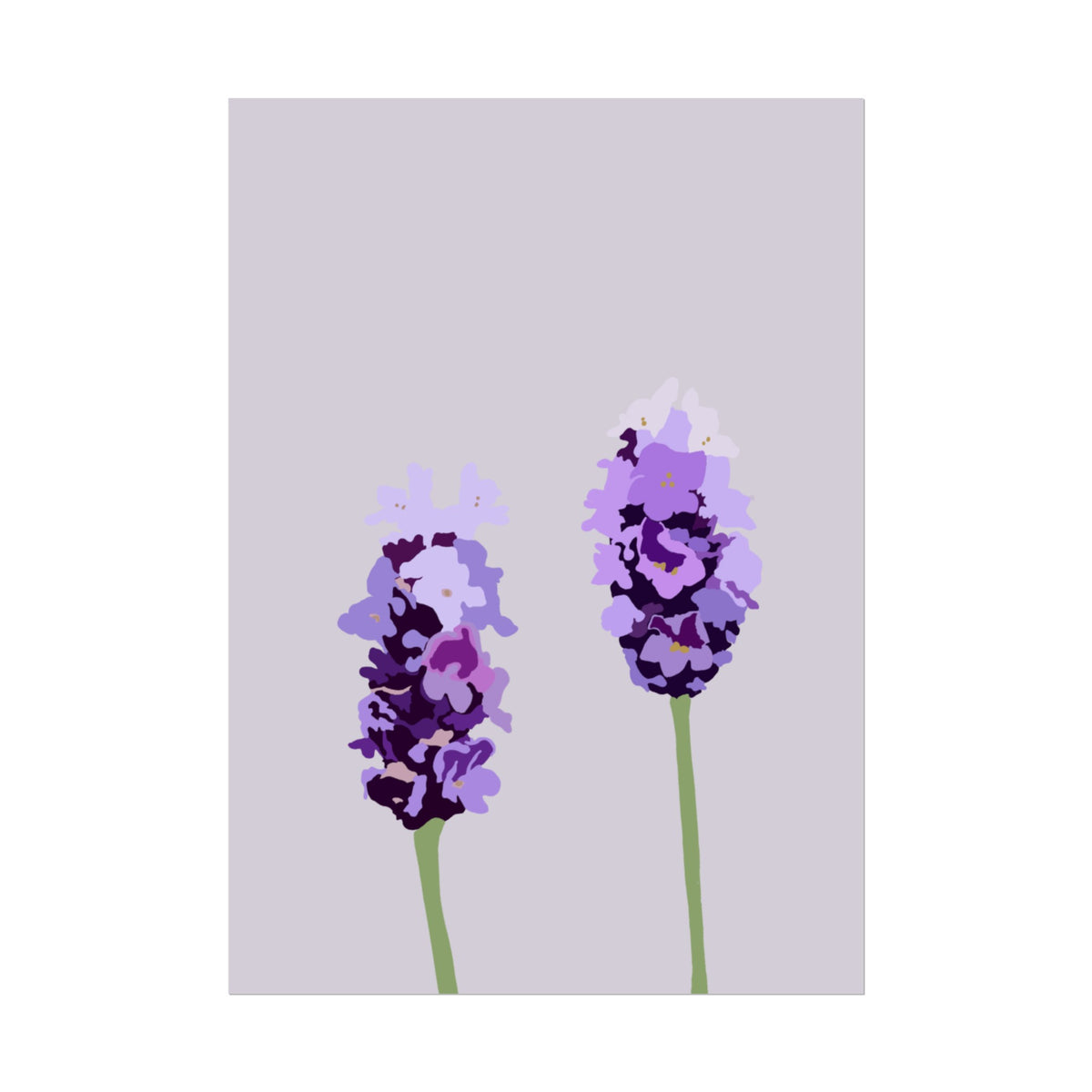 LAVENDER PRINT