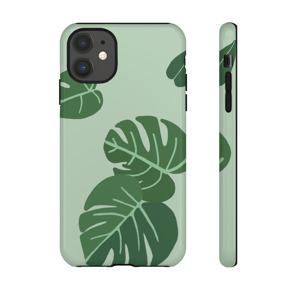 MONSTERA