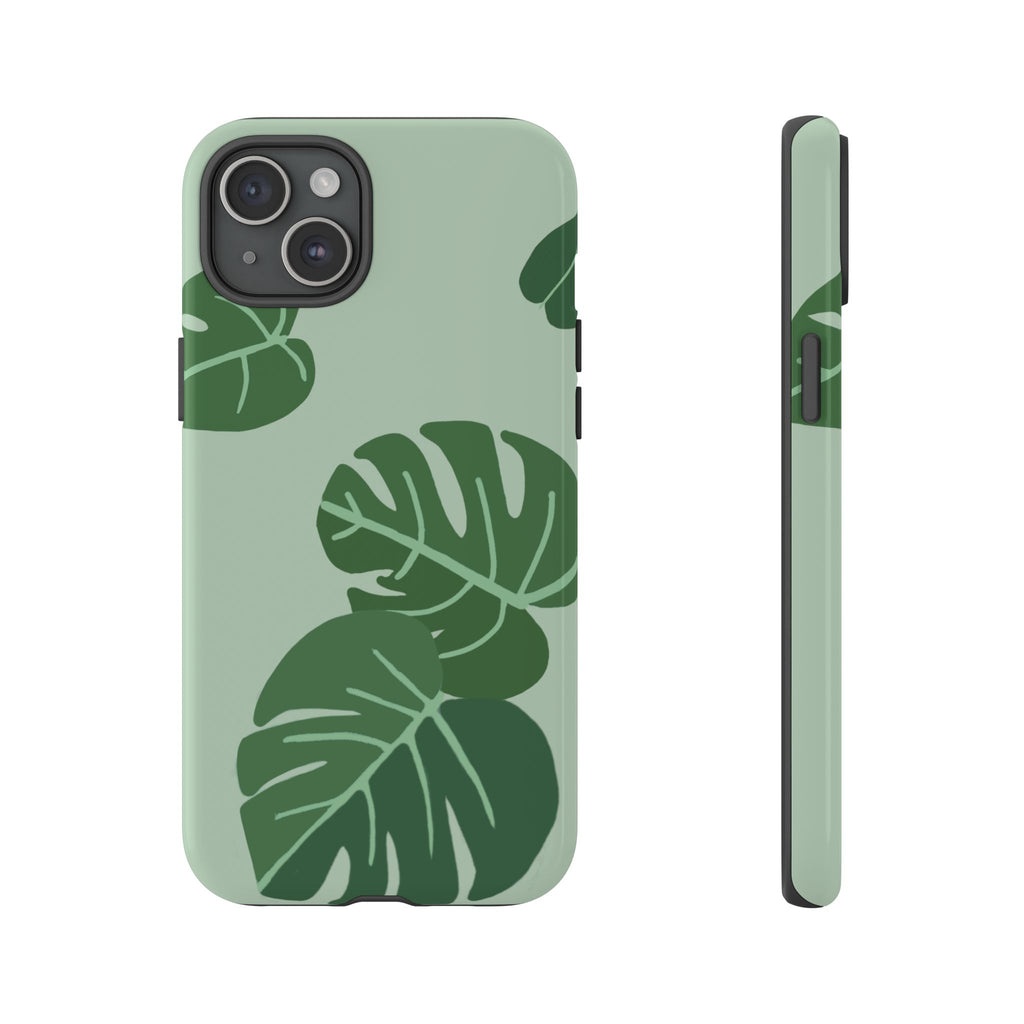 MONSTERA