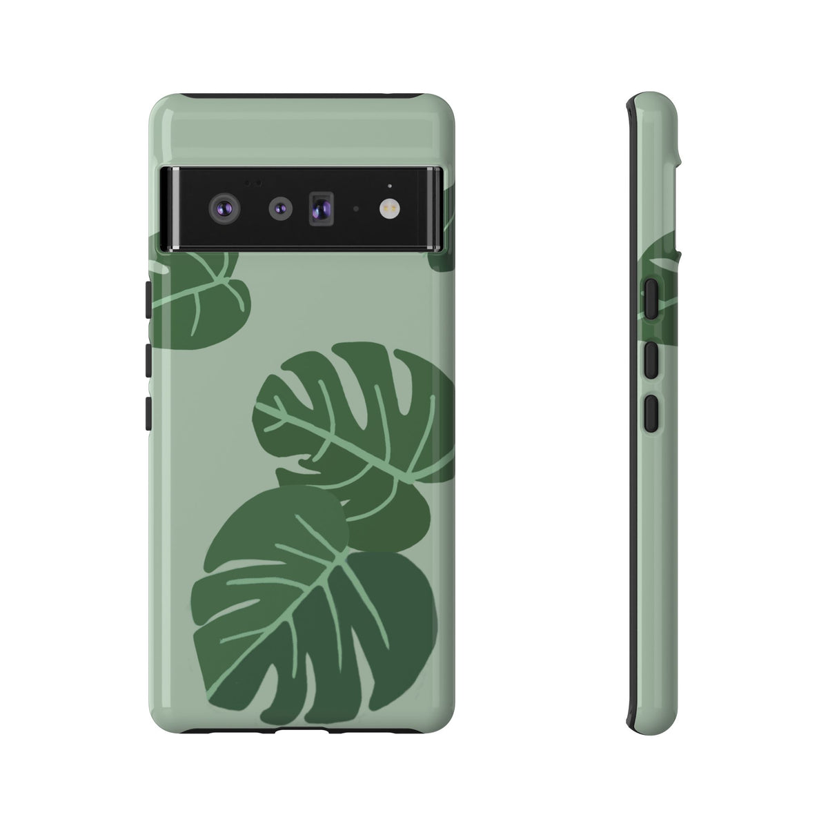 MONSTERA