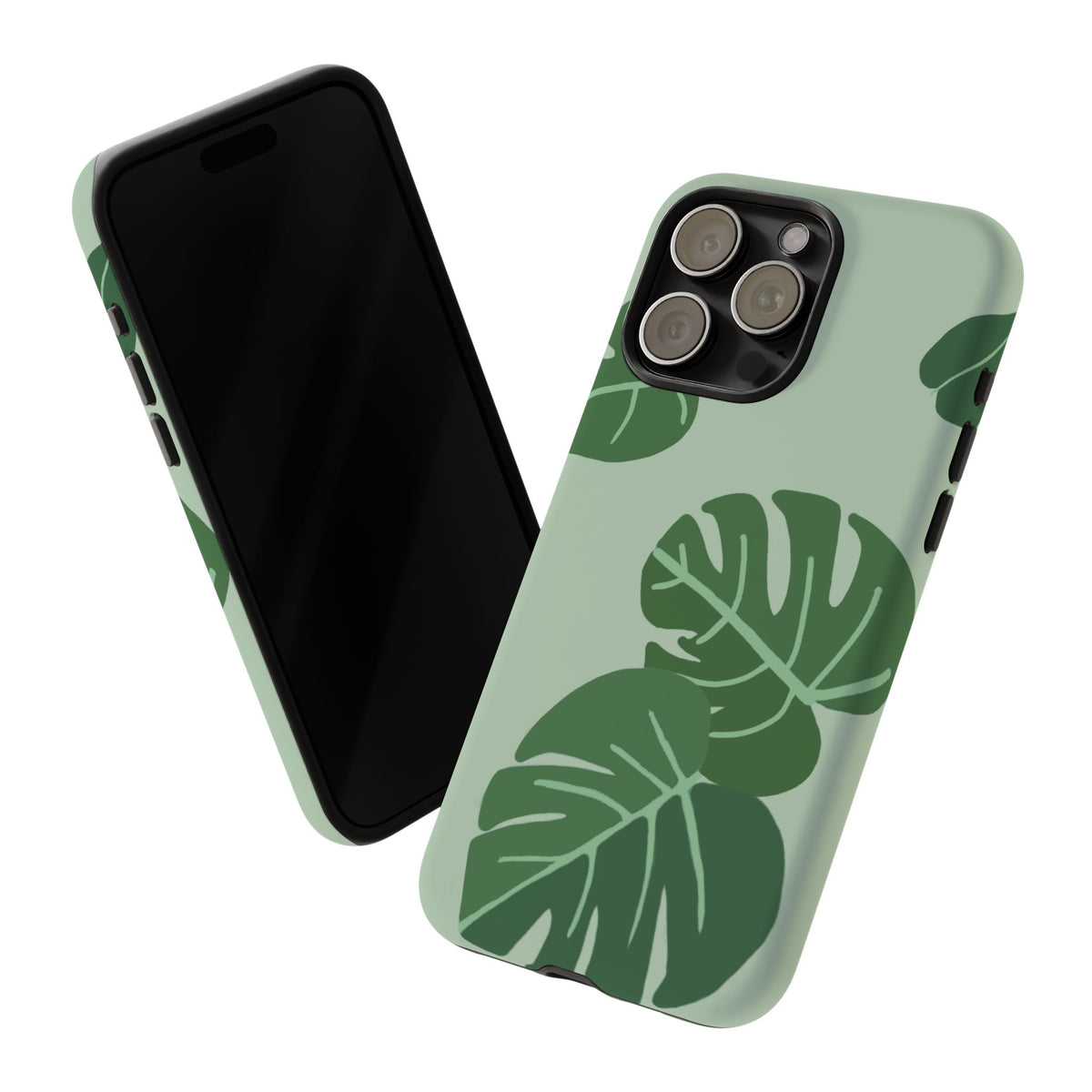 MONSTERA