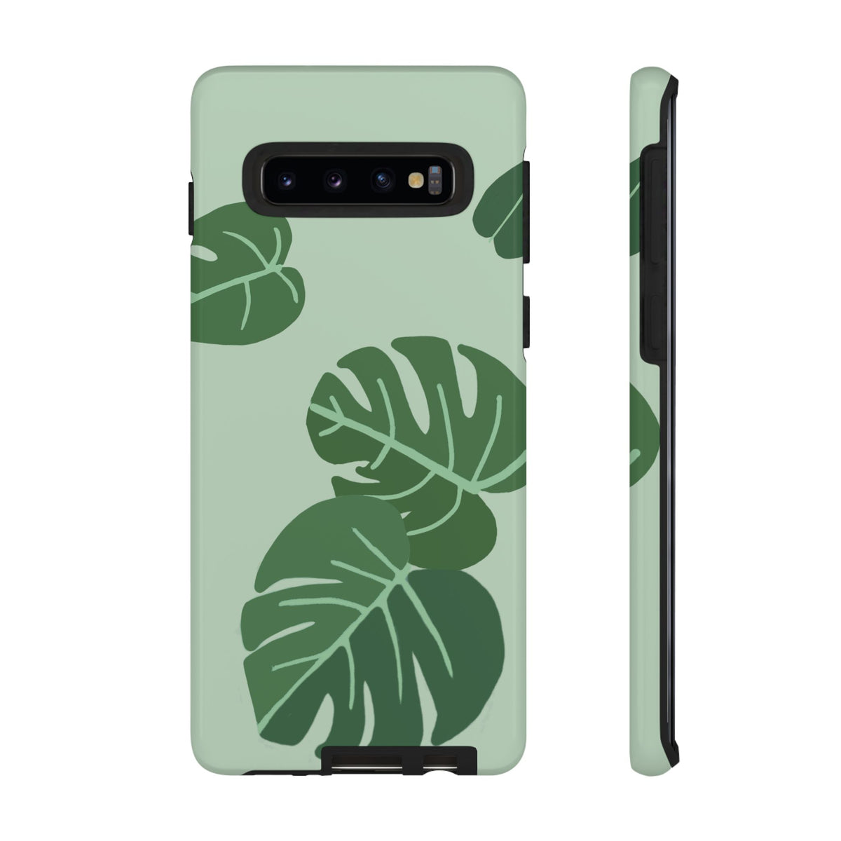 MONSTERA