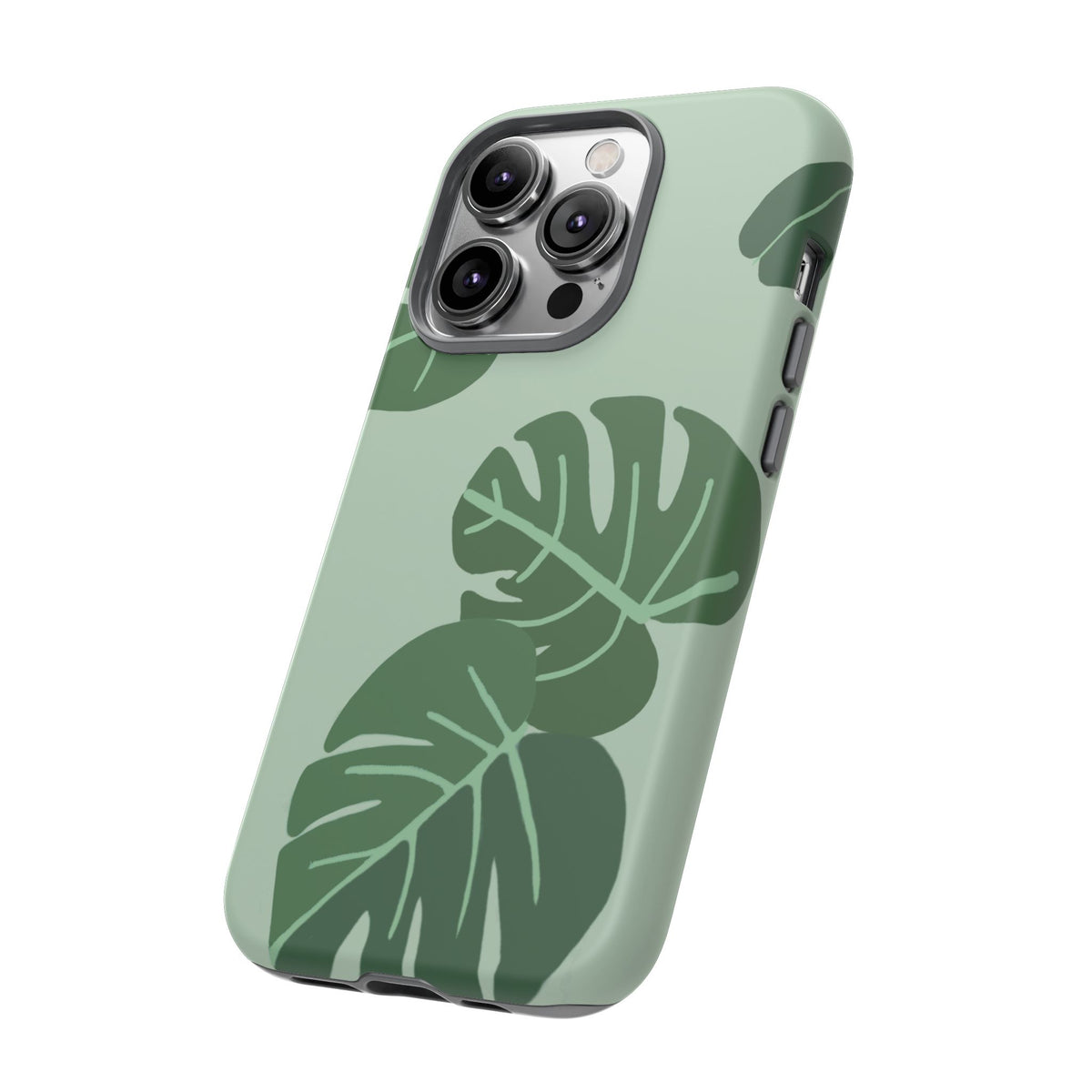 MONSTERA