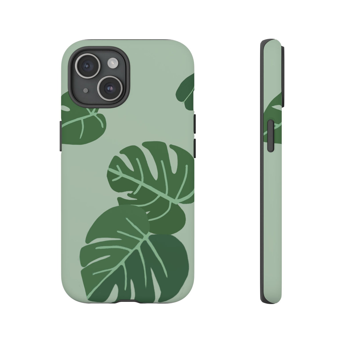 MONSTERA