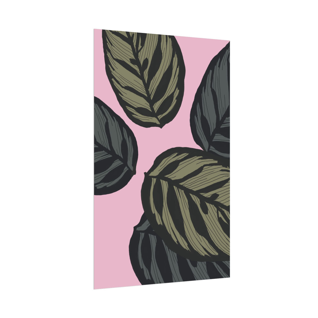 CALATHEA PRINT