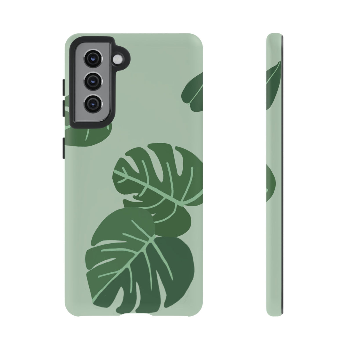 MONSTERA