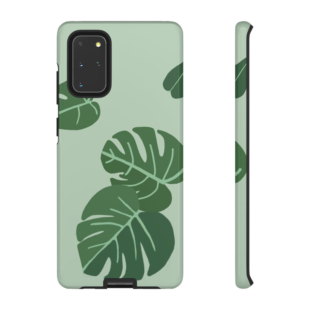 MONSTERA