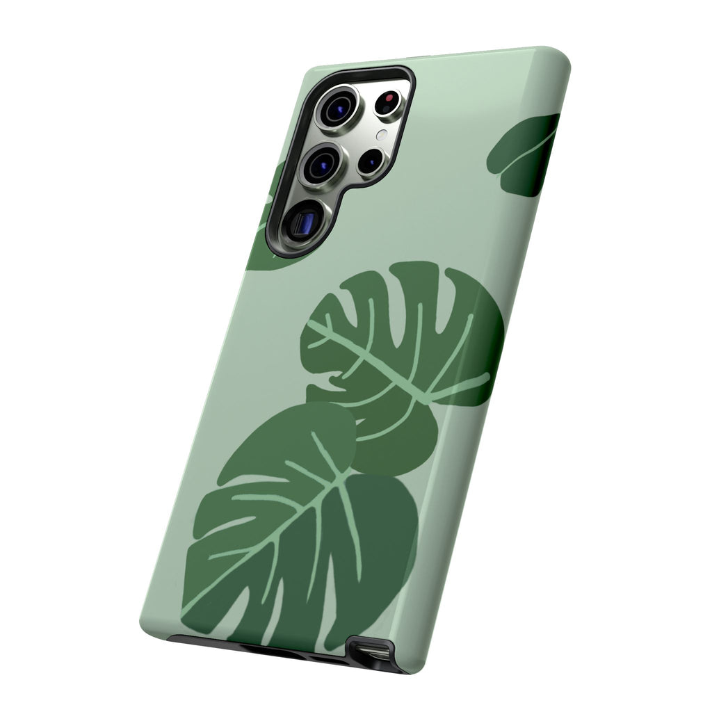 MONSTERA
