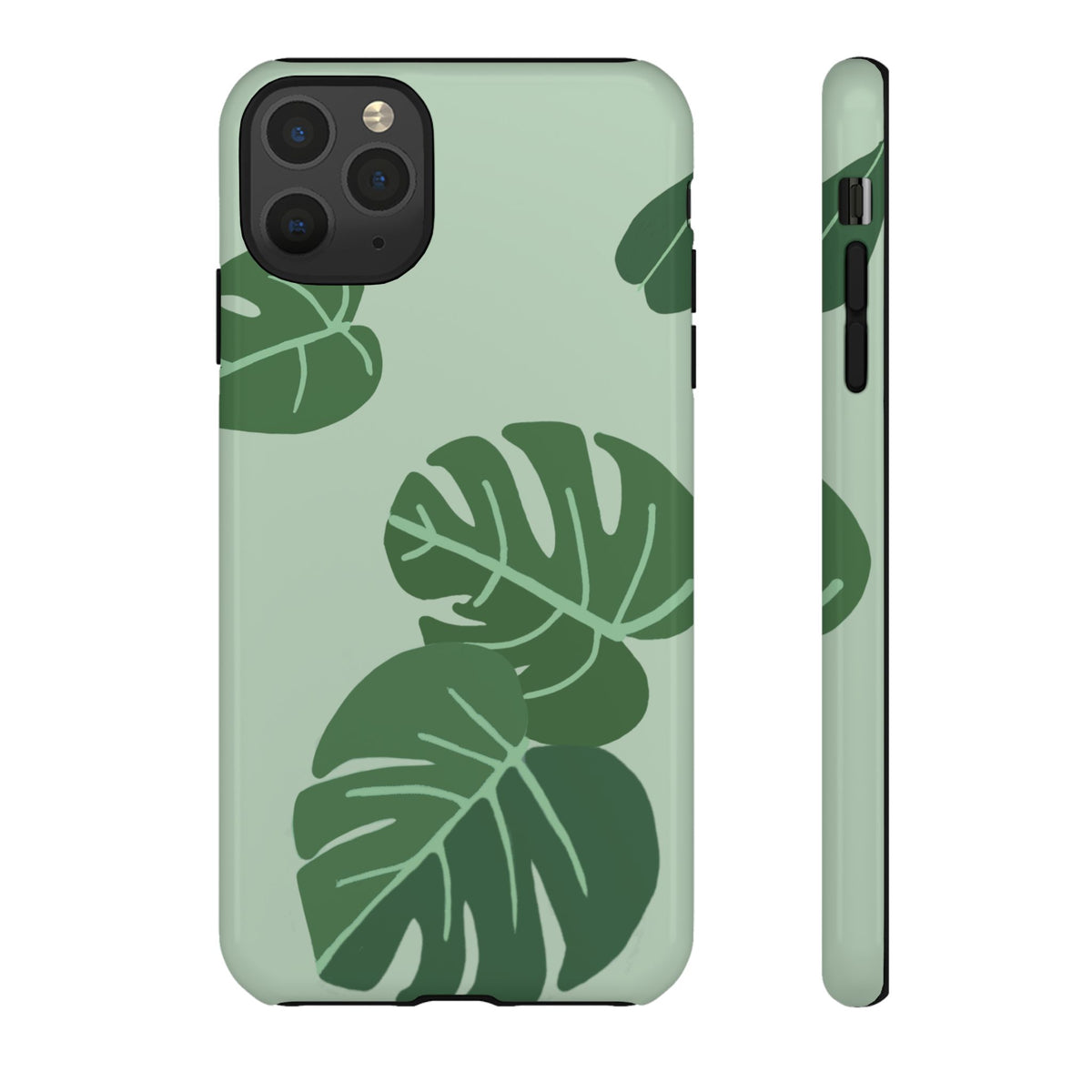 MONSTERA