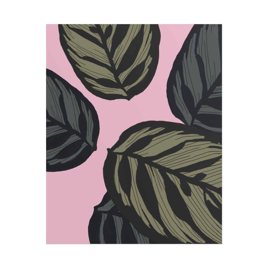 CALATHEA PRINT