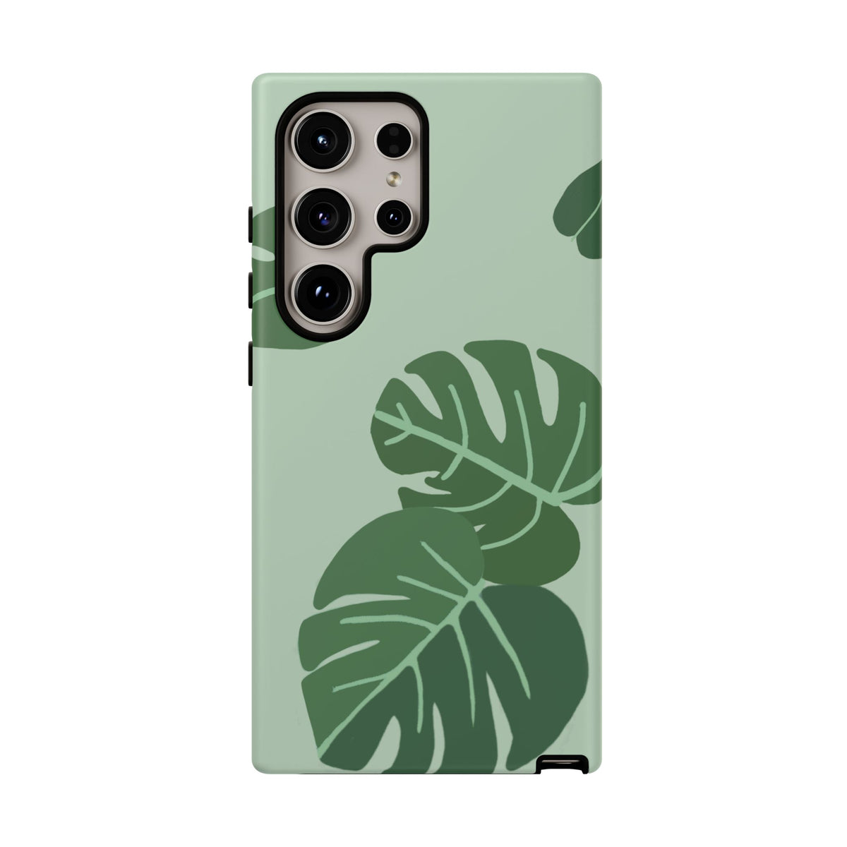 MONSTERA