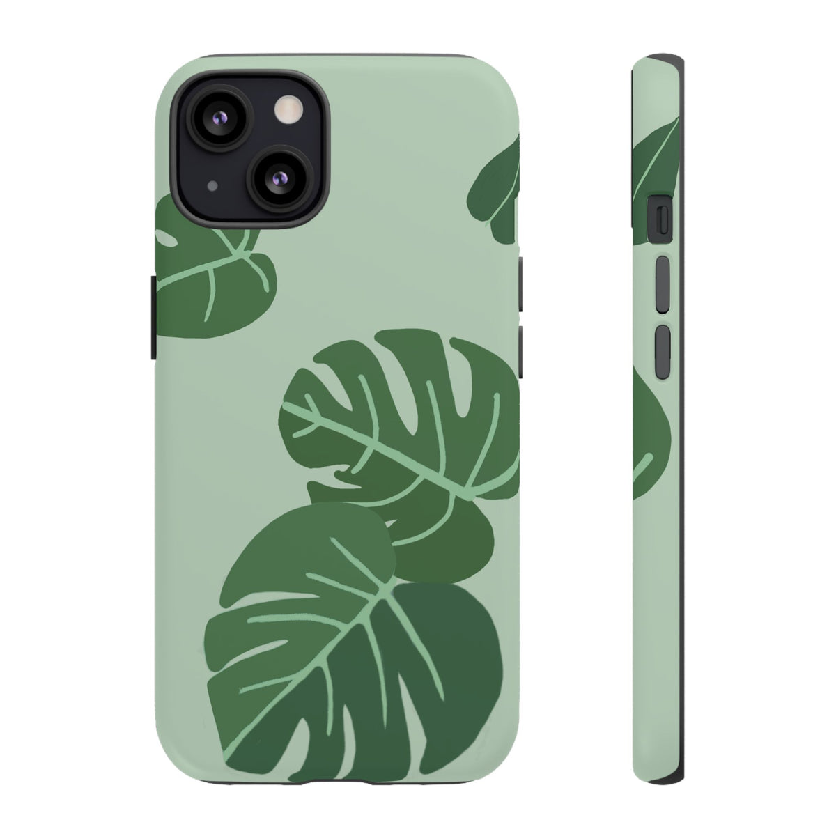 MONSTERA