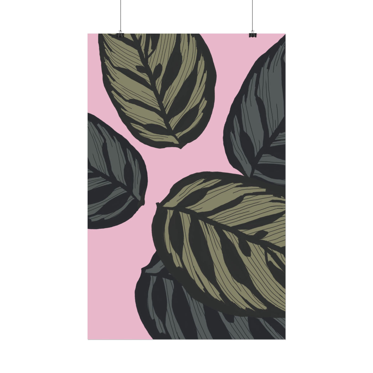 CALATHEA PRINT