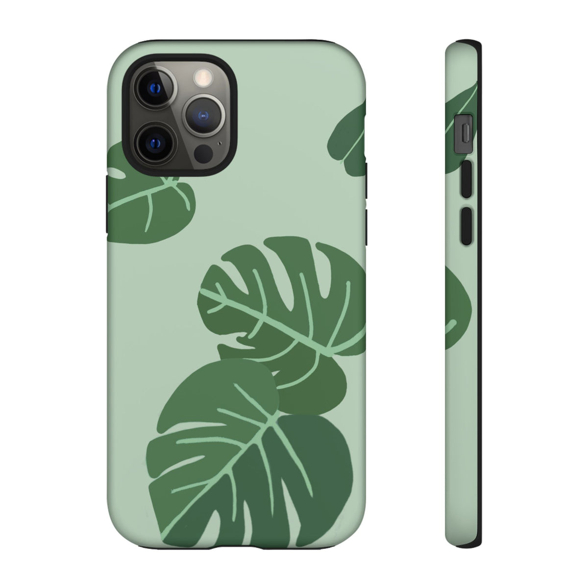 MONSTERA