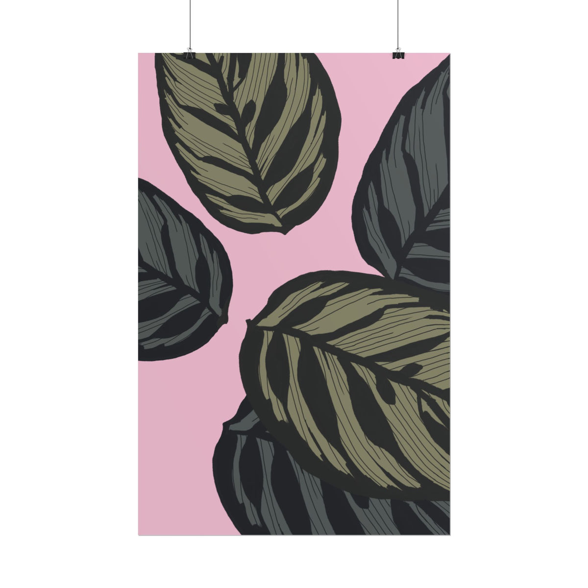 CALATHEA PRINT
