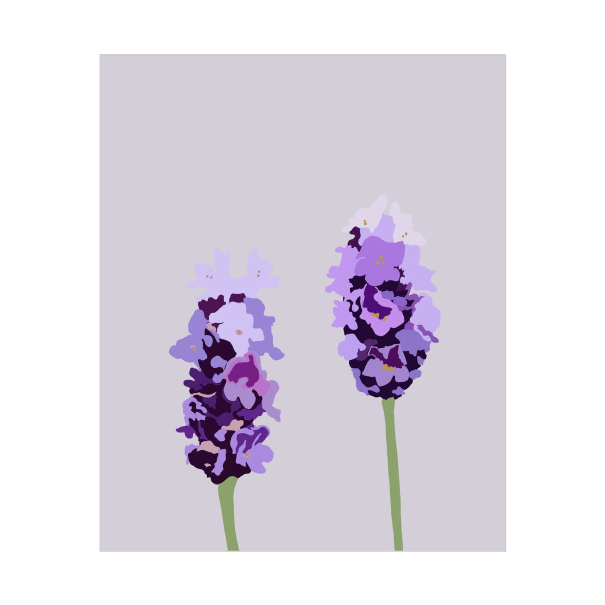 LAVENDER PRINT