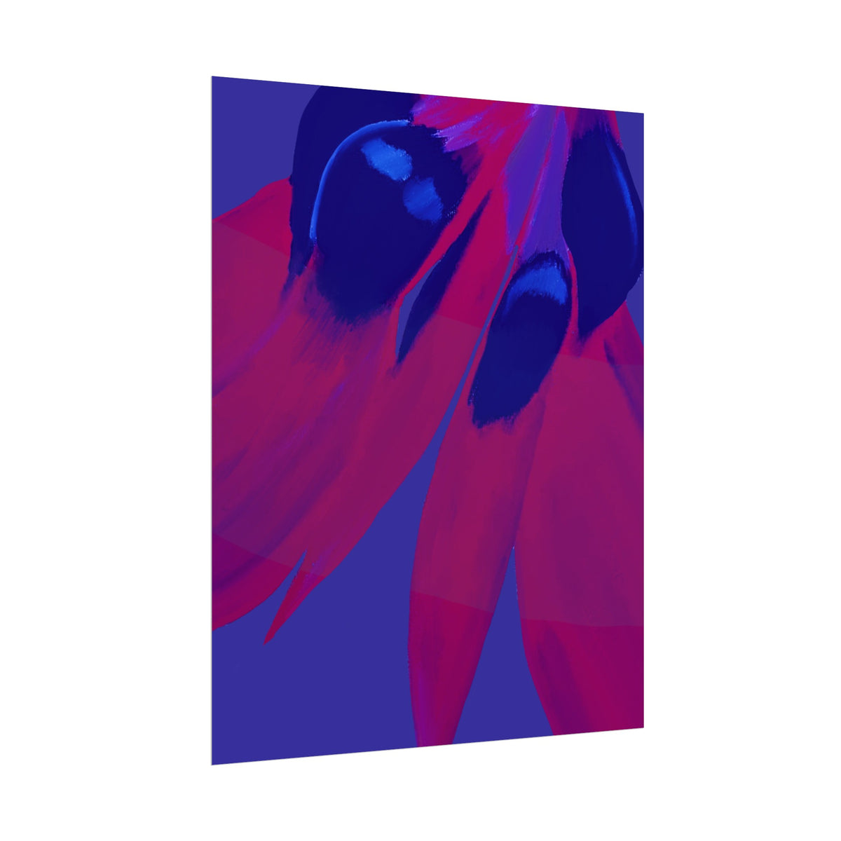 SUNSET DESERT PEA PRINT