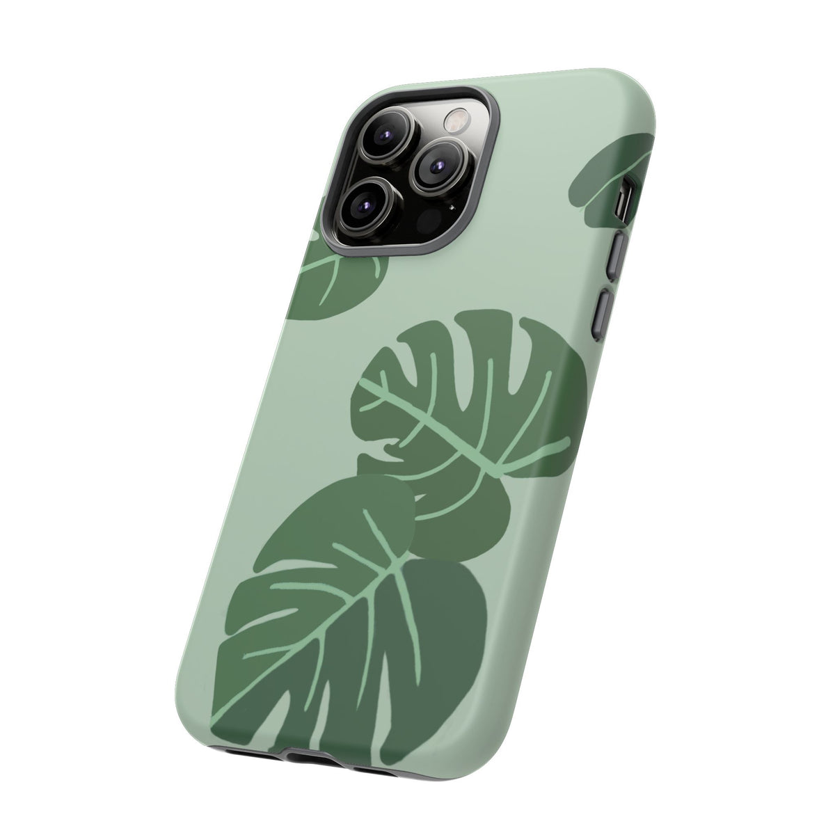 MONSTERA