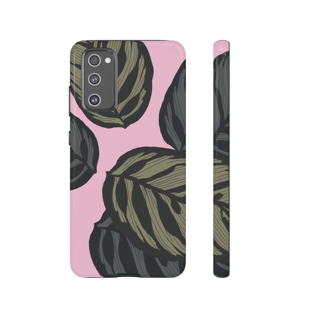 CALATHEA