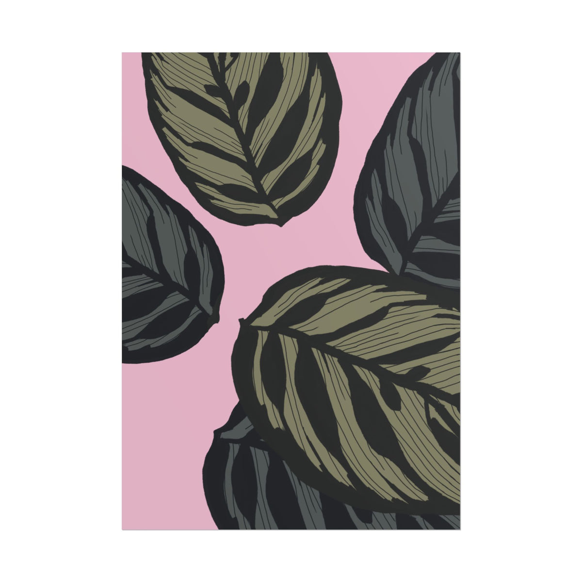 CALATHEA PRINT