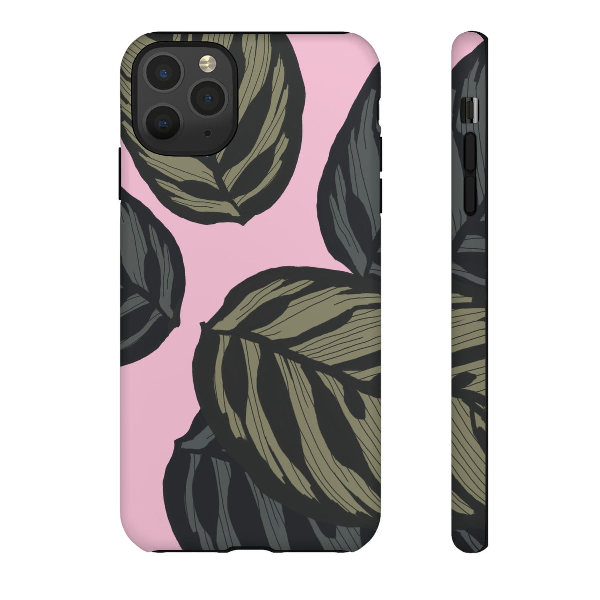CALATHEA