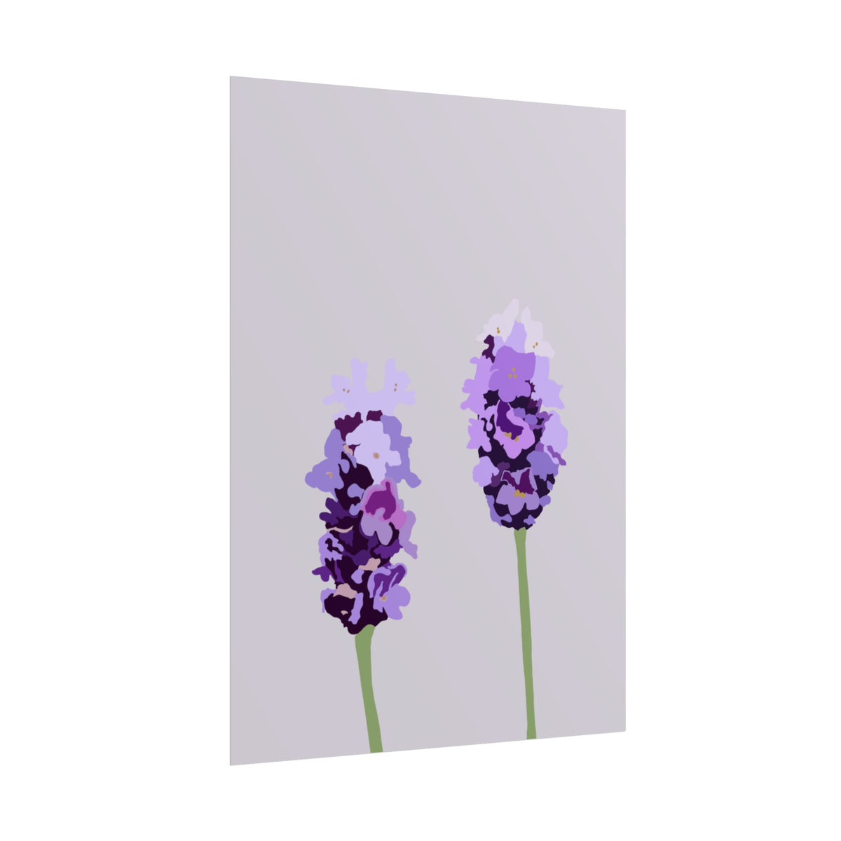 LAVENDER PRINT
