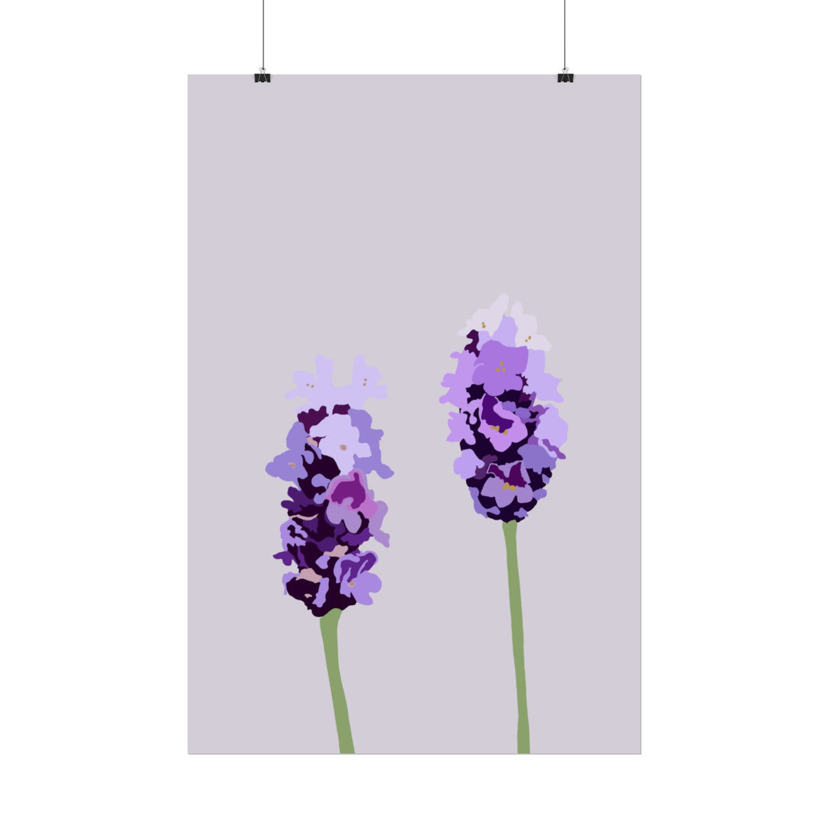 LAVENDER PRINT
