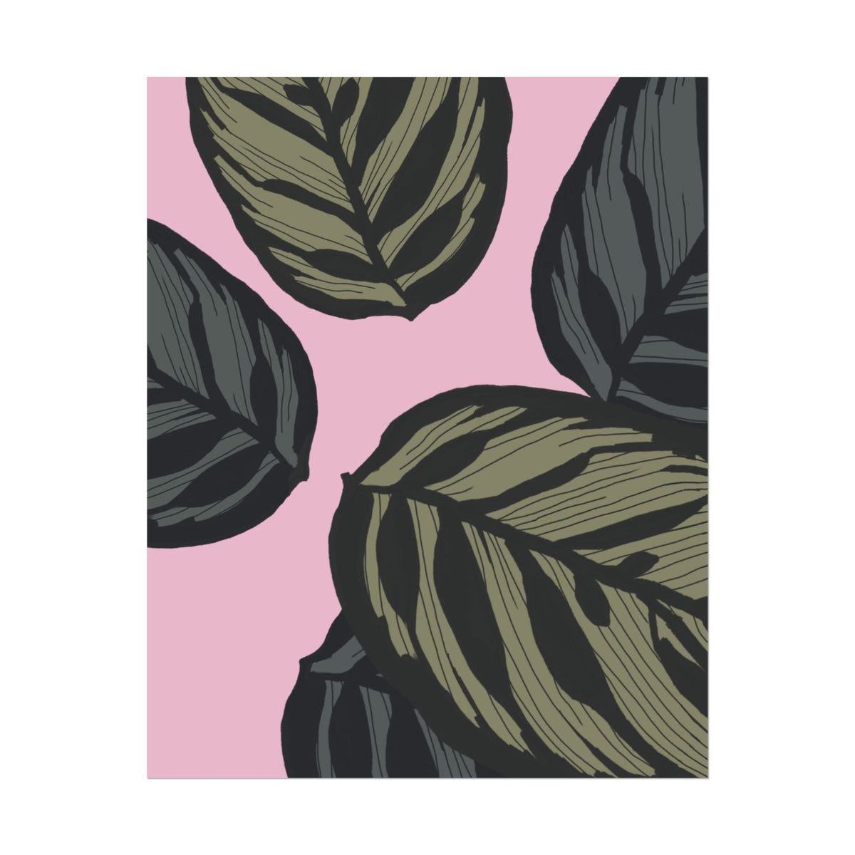 CALATHEA PRINT