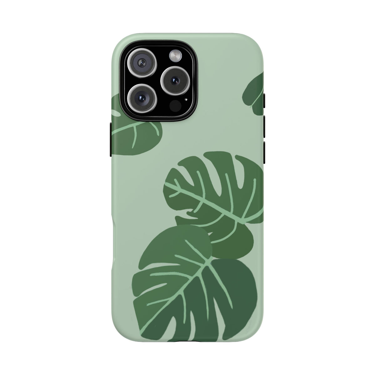 MONSTERA