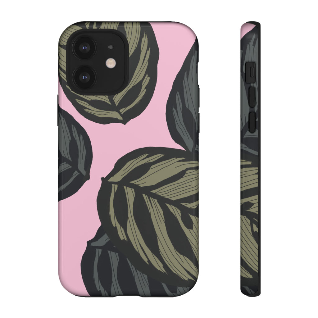 CALATHEA