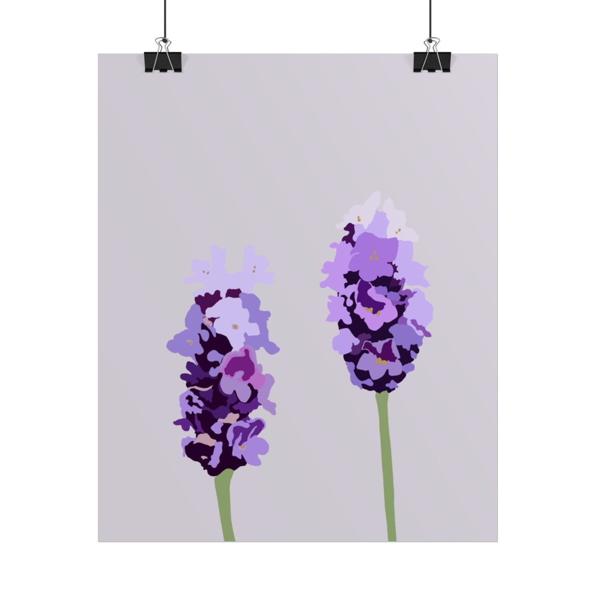 LAVENDER PRINT