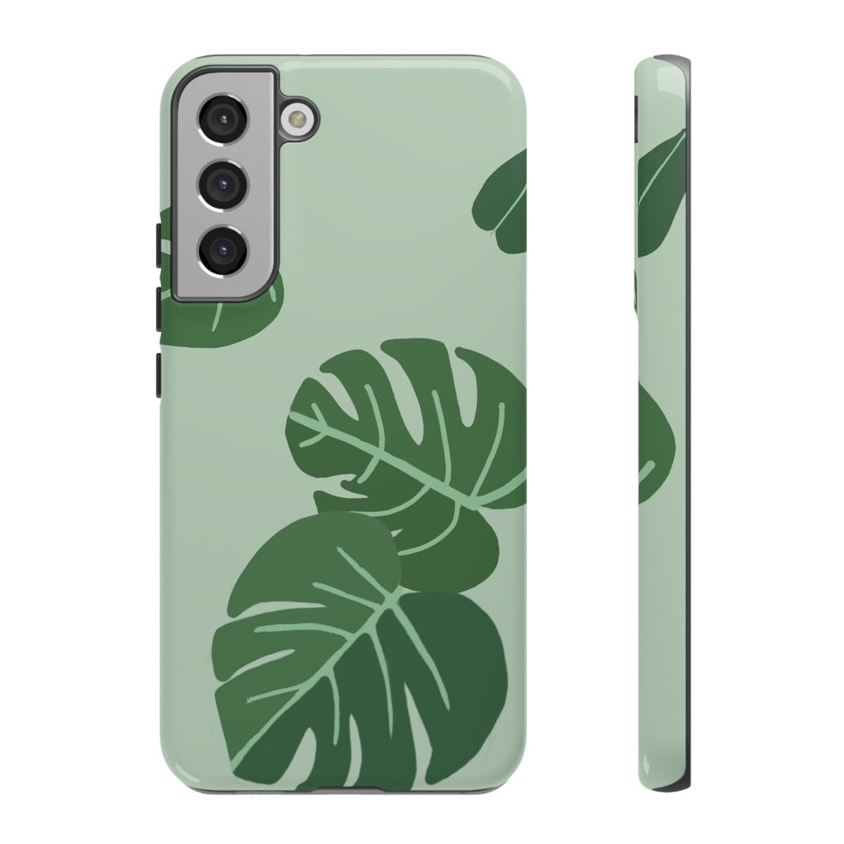 MONSTERA