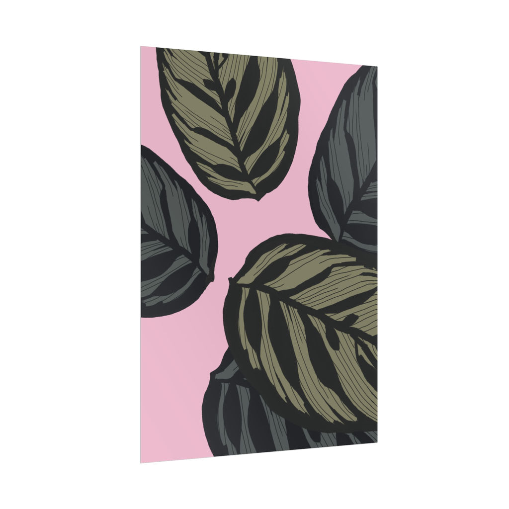 CALATHEA PRINT