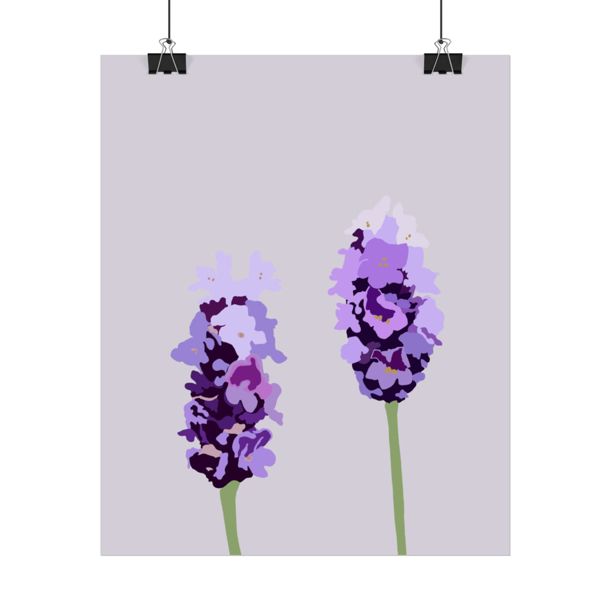 LAVENDER PRINT