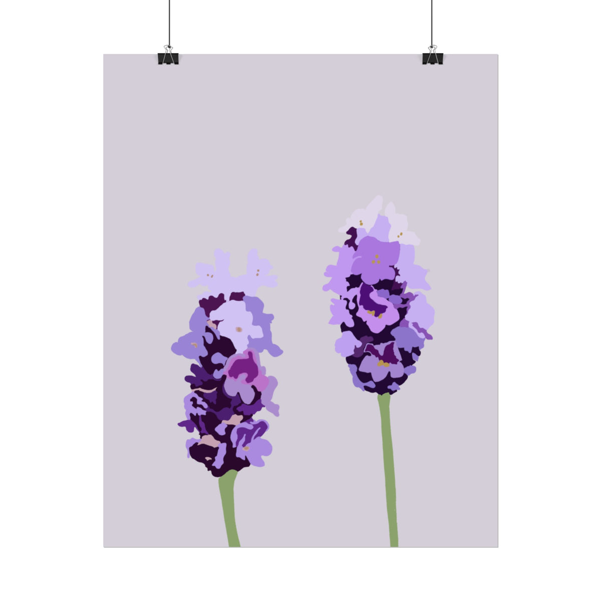 LAVENDER PRINT