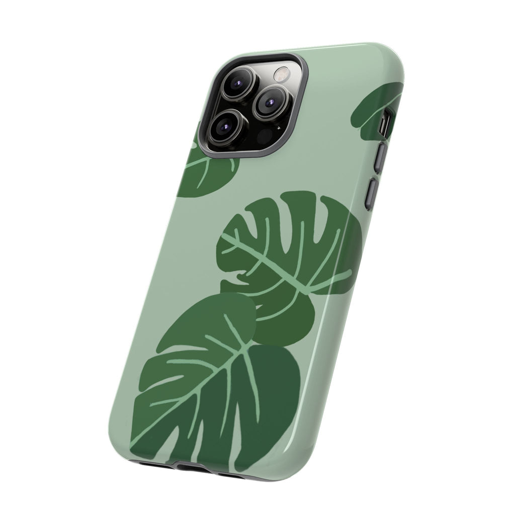 MONSTERA