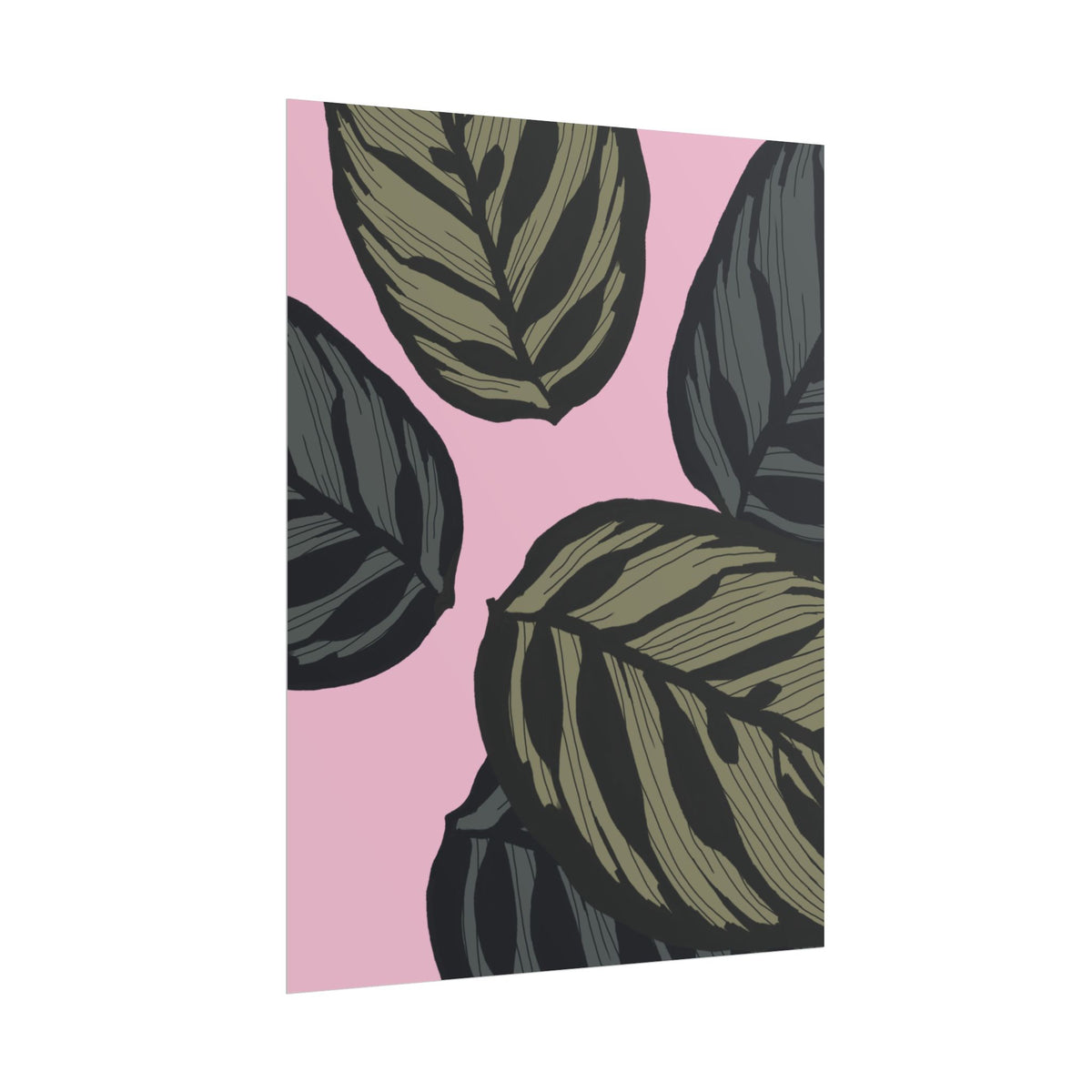 CALATHEA PRINT
