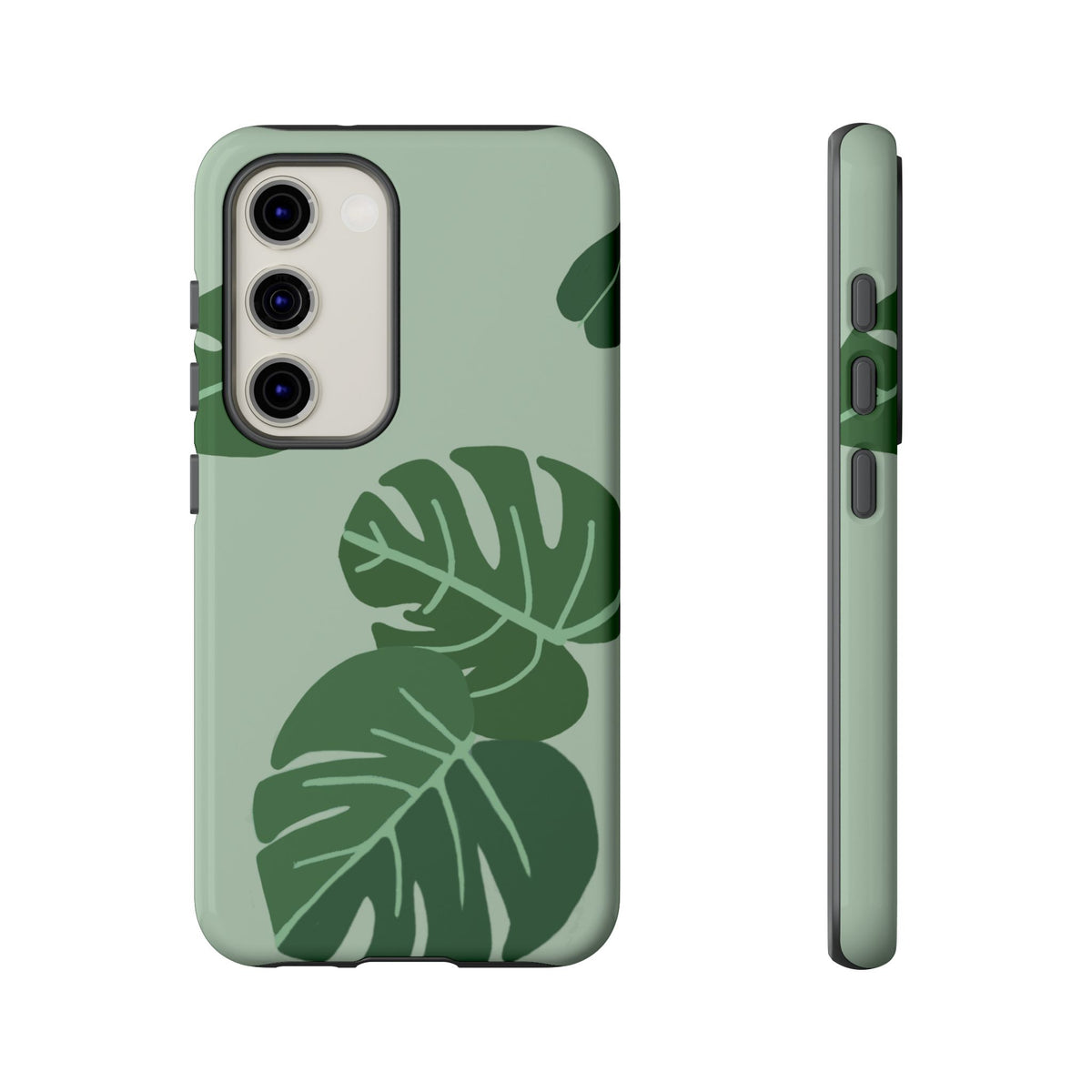 MONSTERA