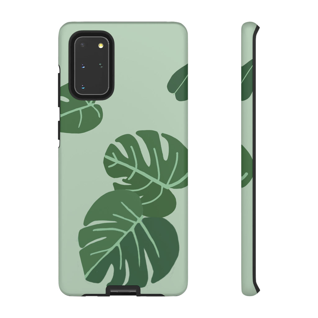 MONSTERA