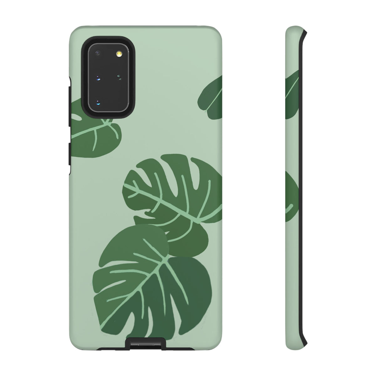 MONSTERA